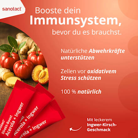 Acerola &amp; Gembersticks, 20 stuks, 39 g