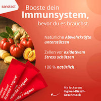 Acerola &amp; Gembersticks, 20 stuks, 39 g