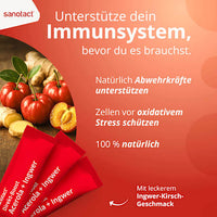 Acerola &amp; Gembersticks, 20 stuks, 39 g