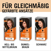 Ansatzset A1 Hell- bis Mittelbraun, 1 St