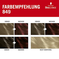 Haarfarbe 849 Herbstrot, 1 St