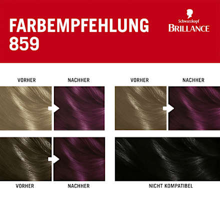 Haarfarbe 859 Violette Wildseide, 1 St
