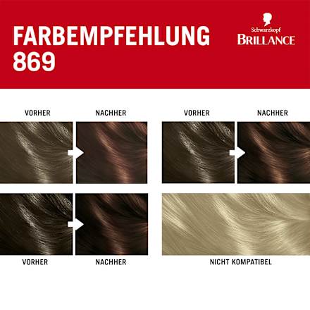 Haarfarbe 869 Kastanienbraun, 1 St