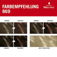 Haarfarbe 869 Kastanienbraun, 1 St