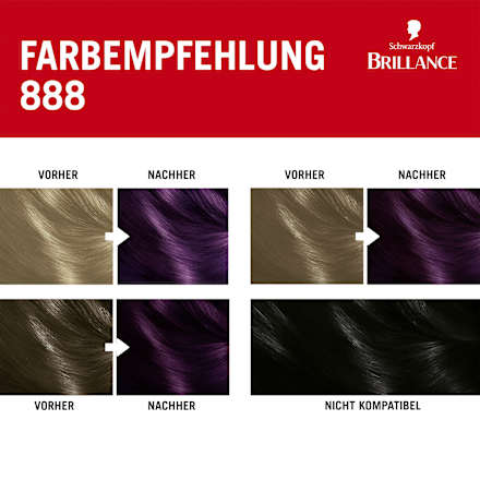 Haarfarbe 888 Dunkle Kirsche, 1 St
