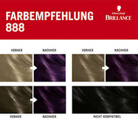 Haarfarbe 888 Dunkle Kirsche, 1 St