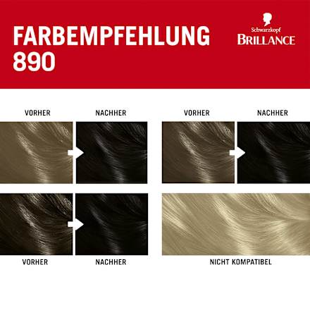 Haarfarbe 890 Schwarz, 1 St