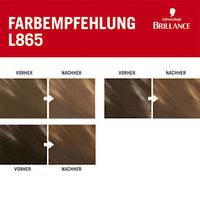 Haarfarbe L865 Honigbraun, 1 St