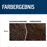 Tönung Bart 60 Natur Braun, 1 St, 1 St