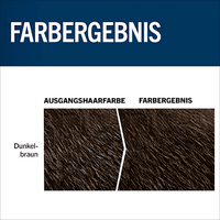 Tönung Bart 80 Dunkelbraun, 1 St