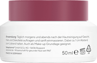 Anti Aging Gesichtscreme Falten-Filler, 50 ml