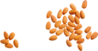 Mandeln, 125 g