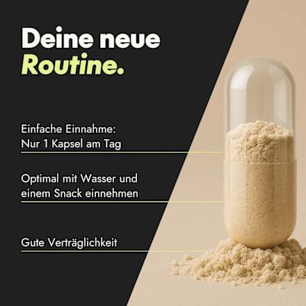Active Brain Performance 60 Stück, 36 g serotalin