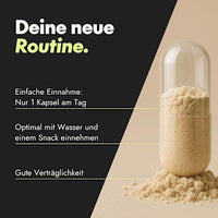 Active Brain Performance 60 Stück, 36 g serotalin