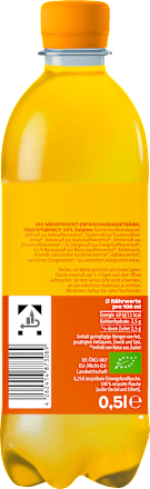 Erfrischungsgetränk, Frucht Spritzi Multifrucht, 500 ml EINWEG