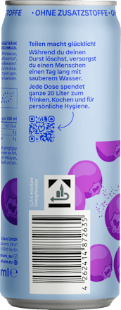 Erfrischungsgetränk, Spritzer Beere, 330 ml EINWEG