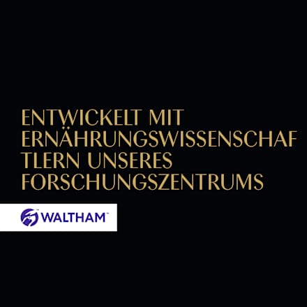Katzenleckerli Creamy Snacks, Multipack (18x12 g), 216 g