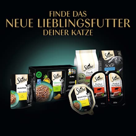 Katzenleckerli Creamy Snacks, Multipack (18x12 g), 216 g