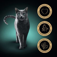 Natvoer voor katten met gevogelte, variatie in saus, selectie multipack (12x85 g), 1,02 kg