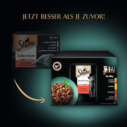 Nat kattenvoer, hartige samenstelling - Selectie in Saus, multipack (12 x 85 g), 1,02 kg