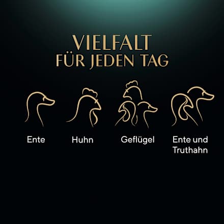 Nat kattenvoer, kip, eend &amp; kalkoen, selectie in saus - gevogeltevariatie, multipack (12 x 85 g), 1,02 kg