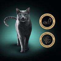 Nat kattenvoer kipfilets met duurzame tonijn, 60 g