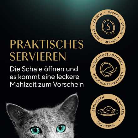 Nat kattenvoer met kipfilets, 60 g