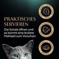 Nat kattenvoer met kipfilets, 60 g