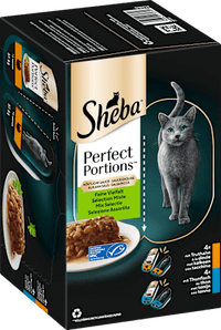 Nassfutter Katze Truthahn & Thunfisch in Sauce, perfect portions - feine Vielfalt, Multipack (16x37,5 g), 600 g