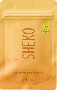Blutzucker Balance Forte Kapseln, 17 g