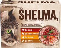 Natvoer voor katten met vlees Multipack (12x85 g), 1,02 kg