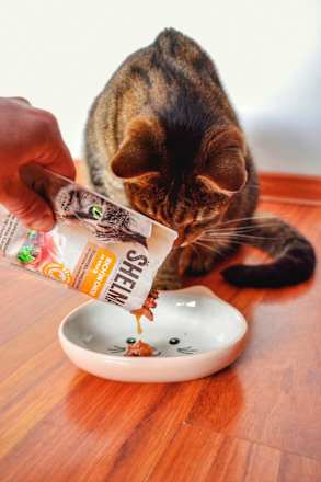 Nat kattenvoer megapak (40 x 85 g), 3,4 kg