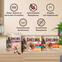 Droog kattenvoer met kip, volwassen, 750 g