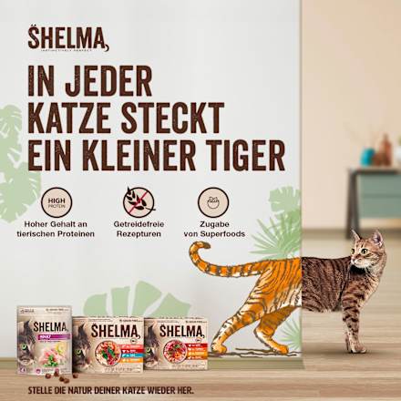 Droog kattenvoer met kip, volwassen, 750 g