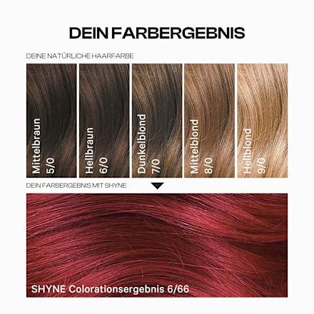 Haarfarbe 6/66 Seville Mittelrot Violett Intensiv, 1 St