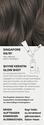 Haarkleur 66/81 Singapore Lichtbruin Asintensief, 1 st