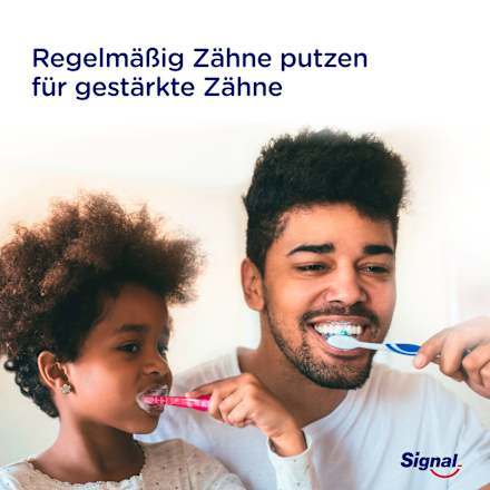 Zahnbürste Integral 8 DFB-Edition medium, 1 St
