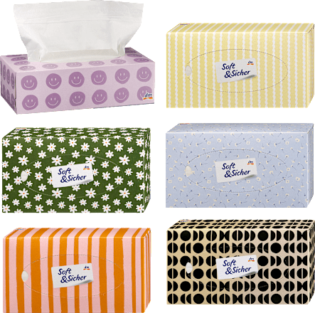 Taschentücher Box Design, 100 St
