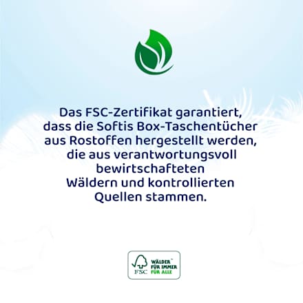 Toiletpapier 4-laags (9x100 vellen), 9 stuks