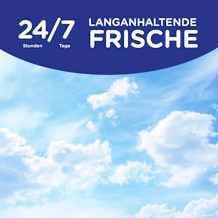 Weichspüler Windfrisch 45 WL, 1 l