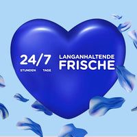 Weichspüler Windfrisch 45 WL, 1 l