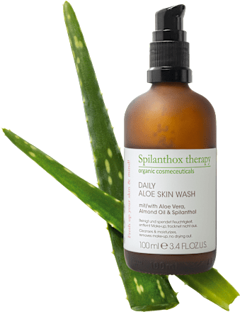 Waschgel Daily Aloe, 100 ml