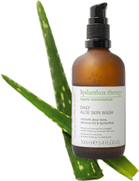 Waschgel Daily Aloe, 100 ml