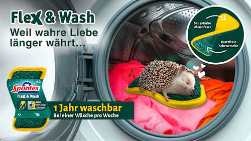 Spons Flex &amp; Wash, 2 stuks