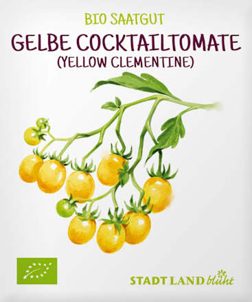 Saaten, Gelbe Cocktailtomate (Yellow Clementine), 1 St
