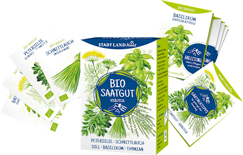 Zaden, kruiden, 1 st.