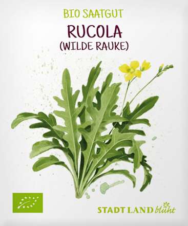 Saaten, Rucola (Wilde Rauke), 1 St