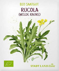 Saaten, Rucola (Wilde Rauke), 1 St
