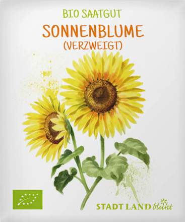 Saaten, Sonnenblume (grossblumig), 1 St