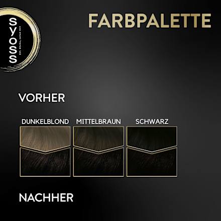 Haarfarbe 2_10 Schwarzbraun, 1 St